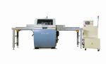 NT CFS-100A Automatic Crayon Mark & Defect Saw
